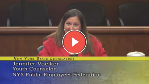 Public Protection Joint Legislative Budget Hearing